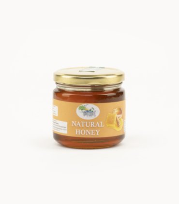 Natural Honey Regular - 400gm